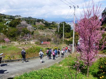 石橋山古戦場