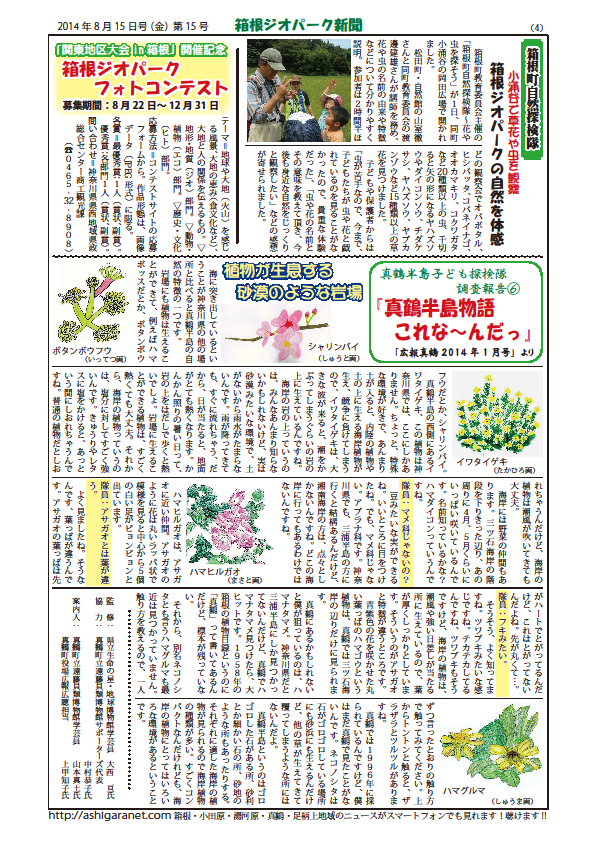 箱根ジオパーク新聞第15号4