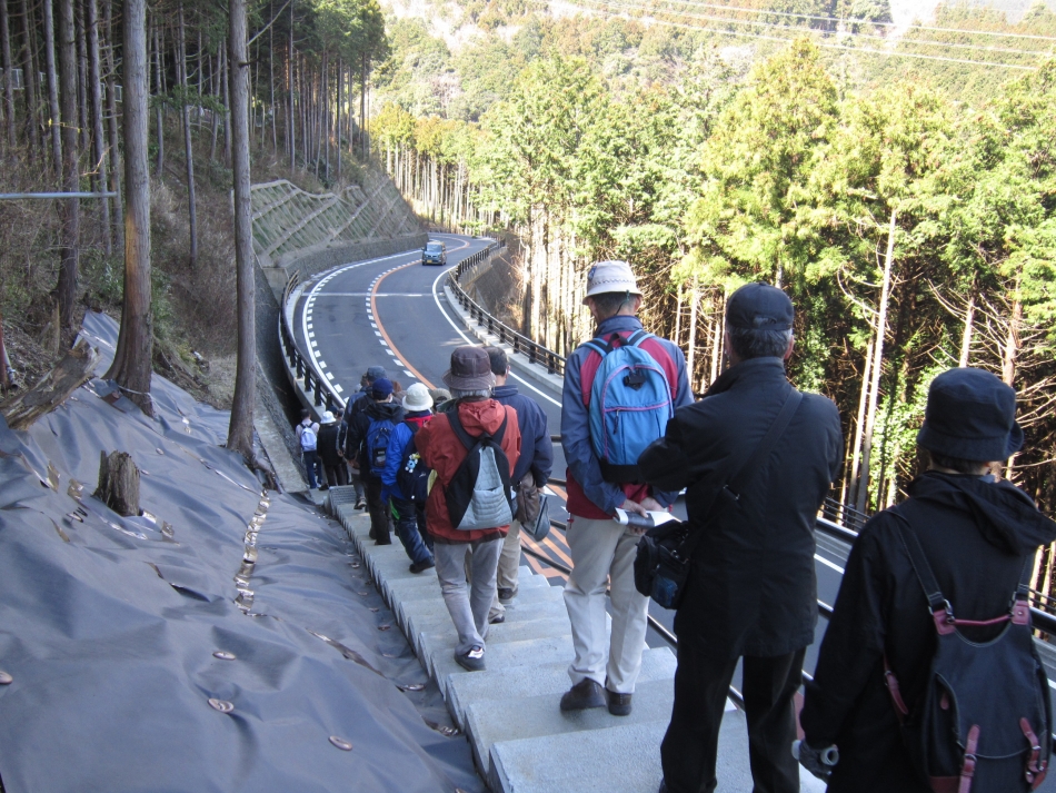 新設された観察路（橋梁下に保存された遺跡があります）